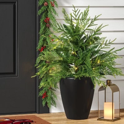 24" Pre-Lit Christmas Norfolk Cedar Artificial Greenery With Ground Stake - Wondershop™ 3 24" Pre-Lit Christmas Norfolk Cedar Artificial Greenery With Ground Stake - Wondershop™
