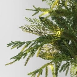 24" Pre-Lit Christmas Norfolk Cedar Artificial Greenery With Ground Stake - Wondershop™ 8 24" Pre-Lit Christmas Norfolk Cedar Artificial Greenery With Ground Stake - Wondershop™ -Christmas Decorations Shop GUEST 517b159a ab98 4251 ad4a 9a78c2d8852a