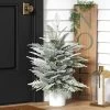 3' Pre-Lit Potted Flocked And Glittered Norfolk Artificial Christmas Tree - Wondershop™ -Christmas Decorations Shop GUEST 6f9df63f d6f9 48b6 82ce 43fbb803932e