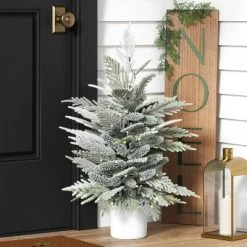 3' Pre-Lit Potted Flocked And Glittered Norfolk Artificial Christmas Tree - Wondershop™