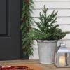 20" Pre-lit LED Battery Operated Mixed Pine Mini Christmas Artificial Pot Filler Warm White Lights - Wondershop™: Indoor/Outdoor 1 20" Pre-lit LED Battery Operated Mixed Pine Mini Christmas Artificial Pot Filler Warm White Lights - Wondershop™: Indoor/Outdoor -Christmas Decorations Shop GUEST 8dc5022d d693 44e3 bc72 c2ca704d3d97